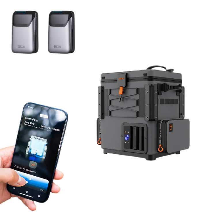 Litheli FrozenPack Portable Fridge Dual Battery - Grey