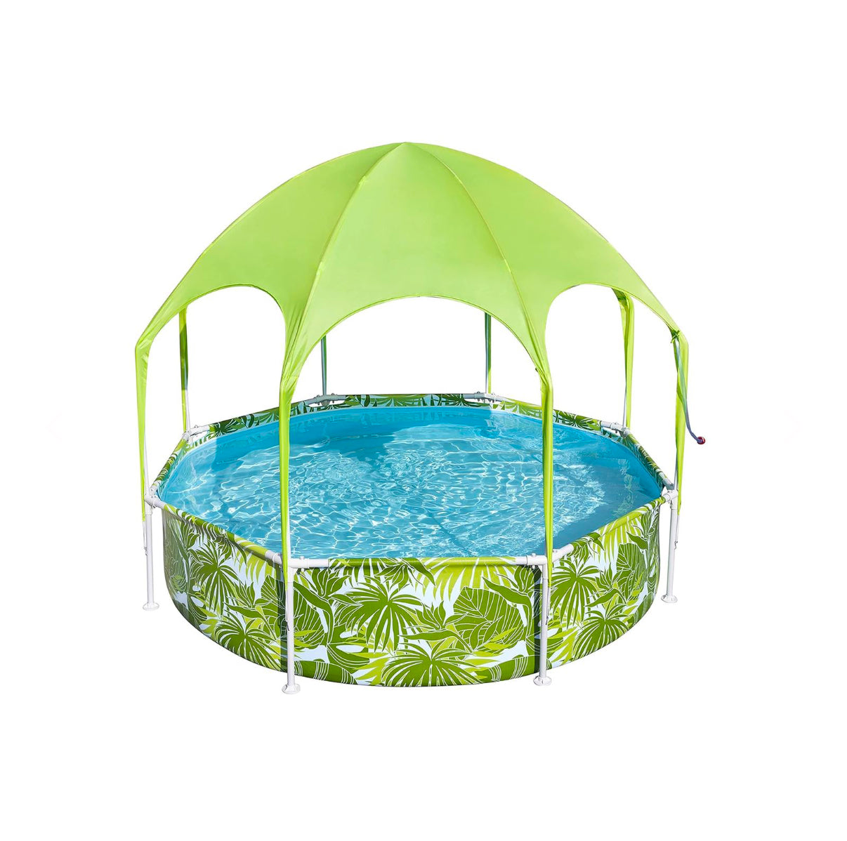 حوض سباحة مع مظلة